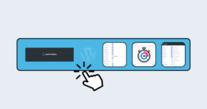 Perfmatters Plugin Speed Up WordPress