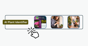 Plant identification app offer