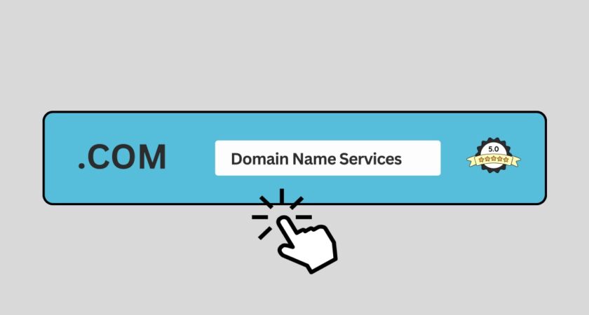 2024 August Domain Name Services: Who Provides the Best Solutions?