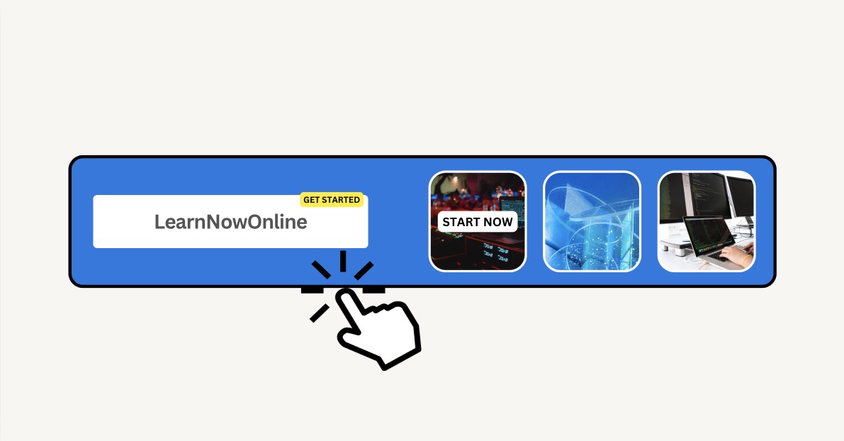 LearnNowOnline IT Developer Projects Technology